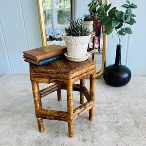 Vintage Hexagon Eclectic Burnt Tortoiseshell Bamboo Plant Stand / Side Table